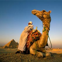 Cairo Day Tours